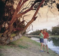 The Looking Glass - Accommodation Sunshine Coast