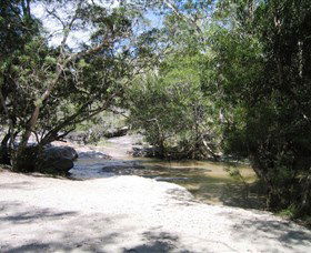 Davies Creek National Park And Dinden National Park - Accommodation Sunshine Coast 0
