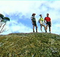 Coongarra Rock - Accommodation Sunshine Coast