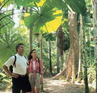 Licuala State Forest - Accommodation Sunshine Coast