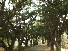 Eimeo QLD Accommodation Sunshine Coast