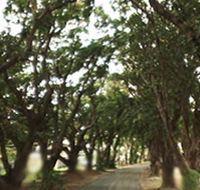Mango Avenue - Accommodation Sunshine Coast