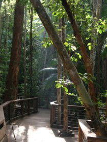 Basin Lake Track - Accommodation Sunshine Coast 0