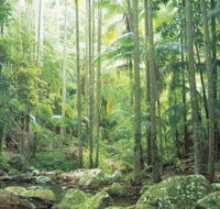 Python Rock - Accommodation Sunshine Coast
