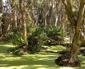 Arkarra Lagoons And Tea Gardens - Accommodation Sunshine Coast 0