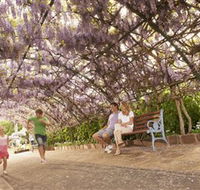 Laurel Bank Park - Accommodation Sunshine Coast