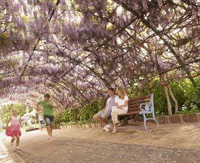 Laurel Bank Park - Accommodation Sunshine Coast 0