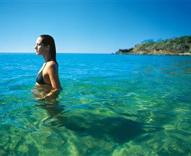 Agnes Water Beach - Accommodation Sunshine Coast 0
