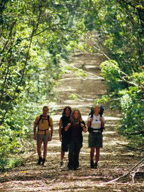Wet Tropics Great Walk - Accommodation Sunshine Coast 0