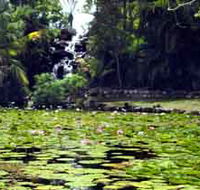 Queens Park Waterfall - Accommodation Sunshine Coast