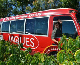 Jaques Coffee Plantation - Accommodation Sunshine Coast 0