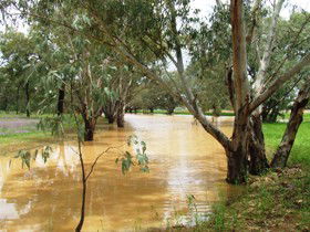 Saddliers Waterhole And Hamburg Creek - Accommodation Sunshine Coast 0