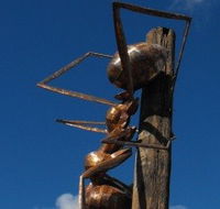 Augathella Meat Ant Park and Sculpture - Accommodation Sunshine Coast