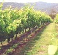 Girraween Estate - Accommodation Sunshine Coast