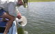 Eungella Dam - thumb 0