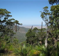 Zamia Walk - Accommodation Sunshine Coast