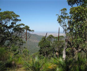 Zamia Walk - Accommodation Sunshine Coast 0