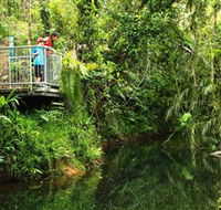 Djiru National Park - Accommodation Sunshine Coast