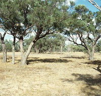 Forest Den National Park - Accommodation Sunshine Coast