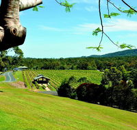 Sirromet Winery - Accommodation Sunshine Coast