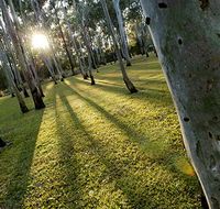 Tondoon Botanic Gardens - Accommodation Sunshine Coast