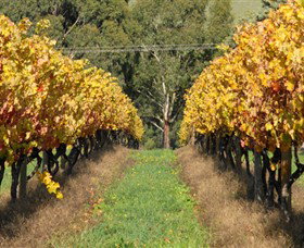 Wild Dog Winery & Restaurant - Accommodation Sunshine Coast 0