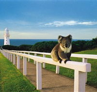 Cape Otway Lightstation - Accommodation Sunshine Coast