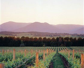 Coldstream VIC Accommodation Sunshine Coast