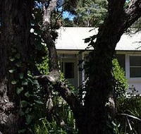 Melaleuca Gallery - Accommodation Sunshine Coast