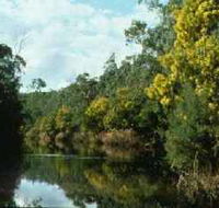 Warrandyte State Park - Accommodation Sunshine Coast