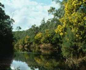 Warrandyte State Park - Accommodation Sunshine Coast 0