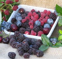 Bright Berry Farms - Accommodation Sunshine Coast