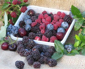 Bright Berry Farms - Accommodation Sunshine Coast 0