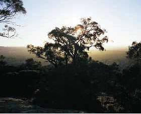 Yarra Flats - Accommodation Sunshine Coast 0
