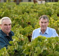 Campbells Wines - Accommodation Sunshine Coast