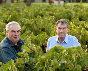 Campbells Wines - Accommodation Sunshine Coast 0