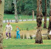 Westerfolds Park - Accommodation Sunshine Coast