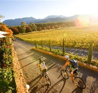 Boyntons Feathertop Winery - Accommodation Sunshine Coast