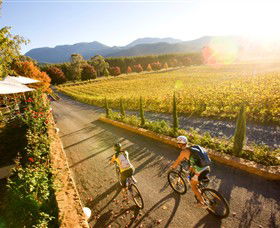 Boyntons Feathertop Winery - Accommodation Sunshine Coast 0