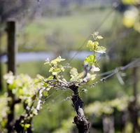 Booth's Taminick Cellars - Accommodation Sunshine Coast