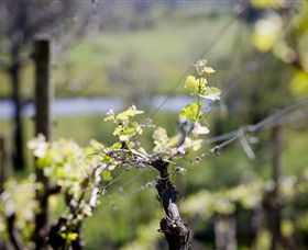 Booth's Taminick Cellars - Accommodation Sunshine Coast 0