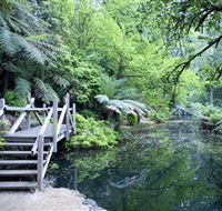 Alfred Nicholas Gardens - Accommodation Sunshine Coast