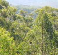 Bunyip State Park - Accommodation Sunshine Coast