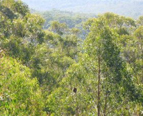 Bunyip State Park - Accommodation Sunshine Coast 0