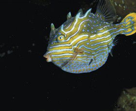 Accommodation Sunshine Coast