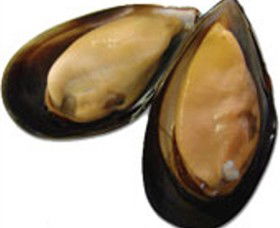 St Leonards VIC Accommodation Sunshine Coast