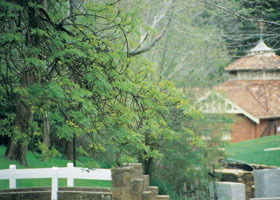 Hepburn Regional Park - Accommodation Sunshine Coast 0