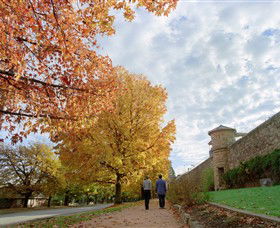 Beechworth Historic Park - Accommodation Sunshine Coast 0