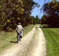 Koomba Park - Accommodation Sunshine Coast