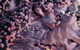 The Australian Ballet - thumb 1